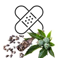 Castor oil for wound healing