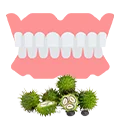 Castor oil for Cleaning and Storing Dentures