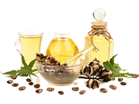 Castor Oil Modi Oil Mill