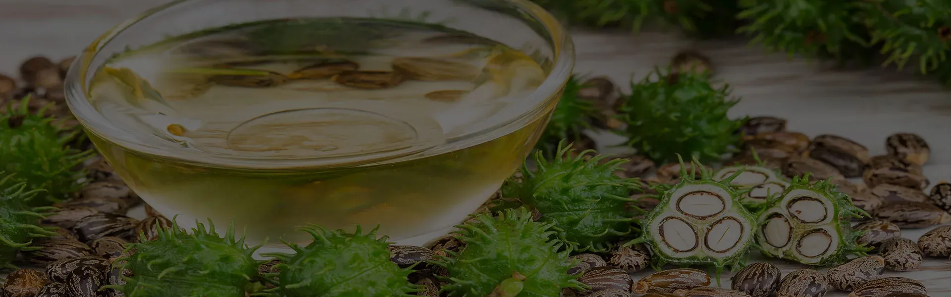 Castor Oil Manufacturer