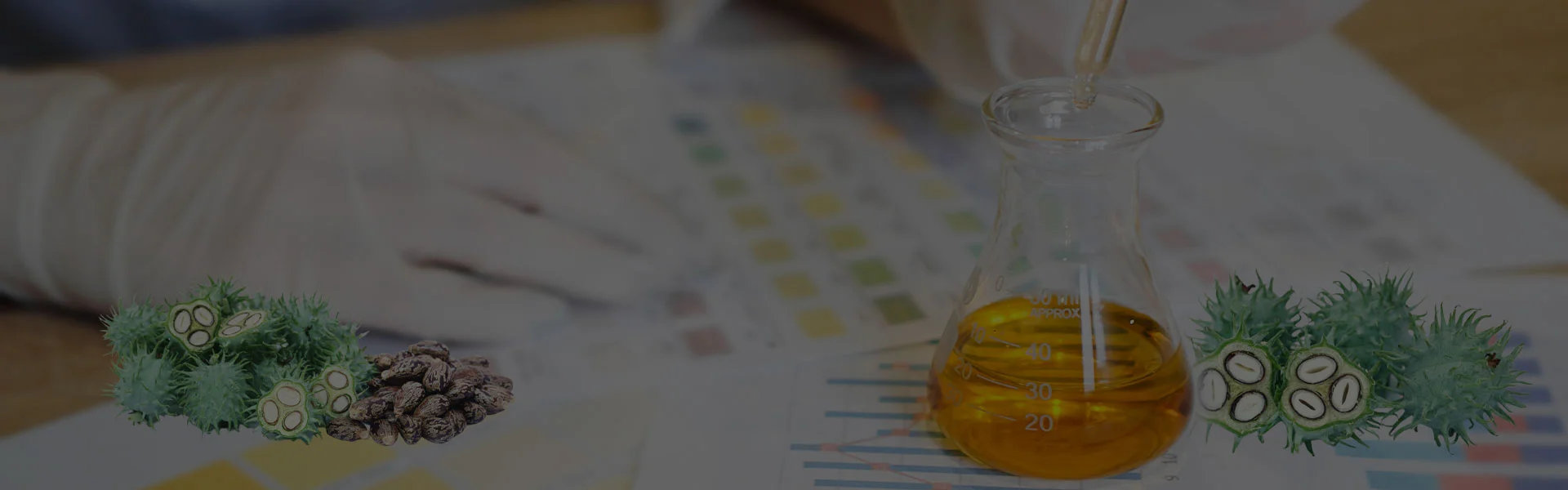 Castor Oil Manufacturer Gujarat